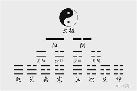 少陰意思|太阳，太阴，以及少阳，少阴都是表示什么？